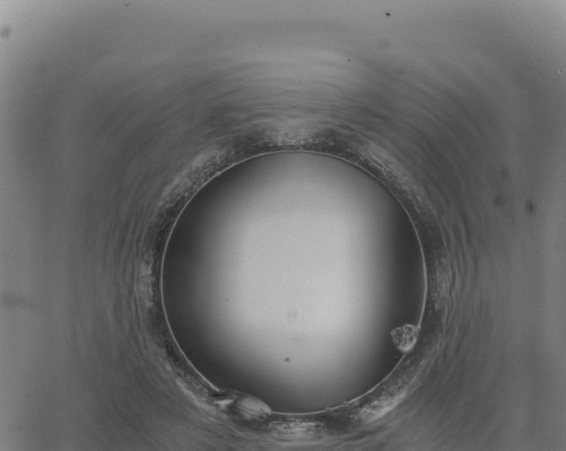 X0000063470497200601271633