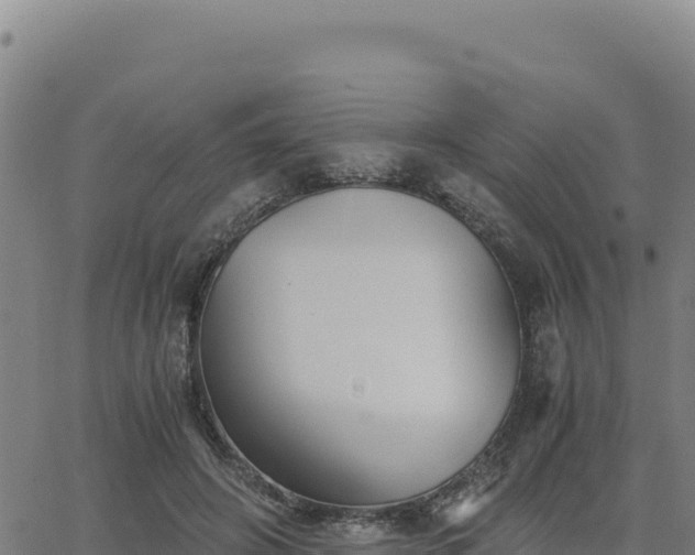 X0000063470498200601271633