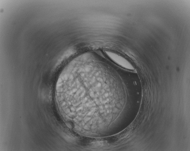 X0000063470499200601271633