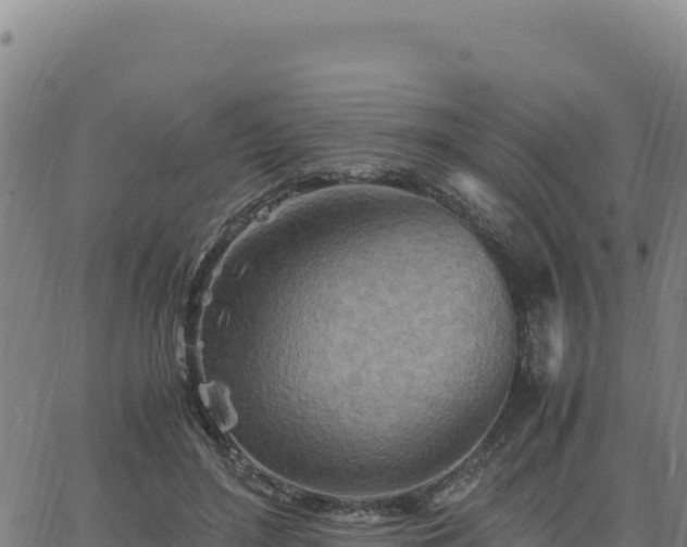 X0000063470500200601271633