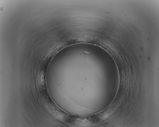 X0000063470502200601271633