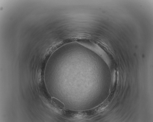 X0000063470504200601271633