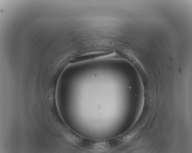 X0000063470505200601271633