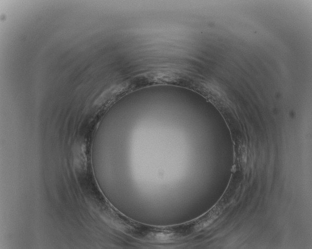 X0000063470506200601271633