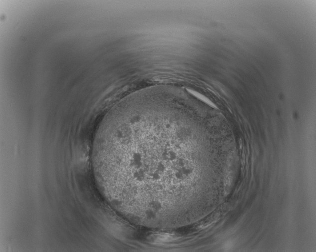 X0000063470507200601271633