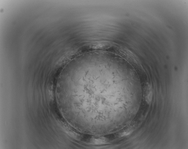 X0000063470510200601271633