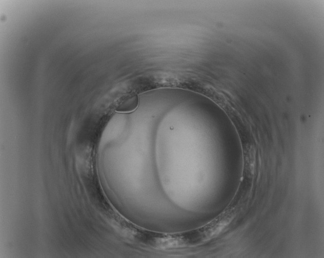 X0000063470511200601271633