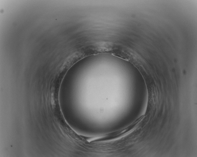 X0000063470512200601271633