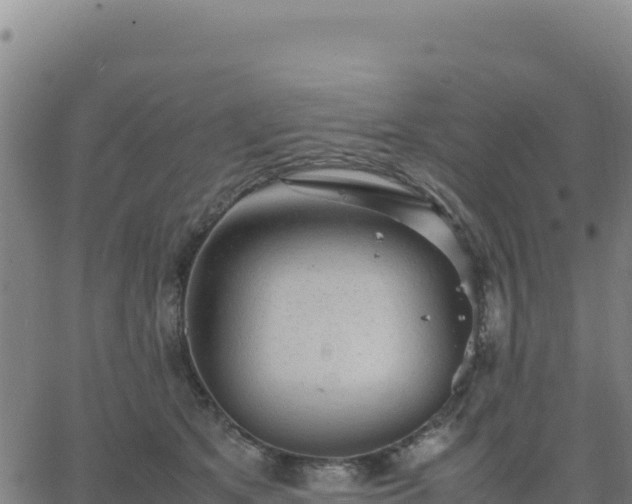 X0000063470513200601271633