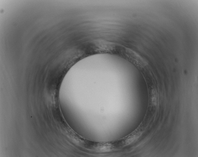 X0000063470514200601271633