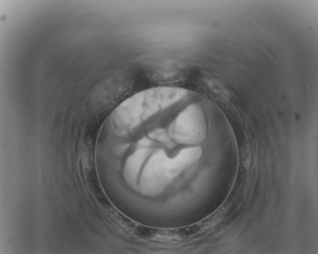 X0000063470515200601271633