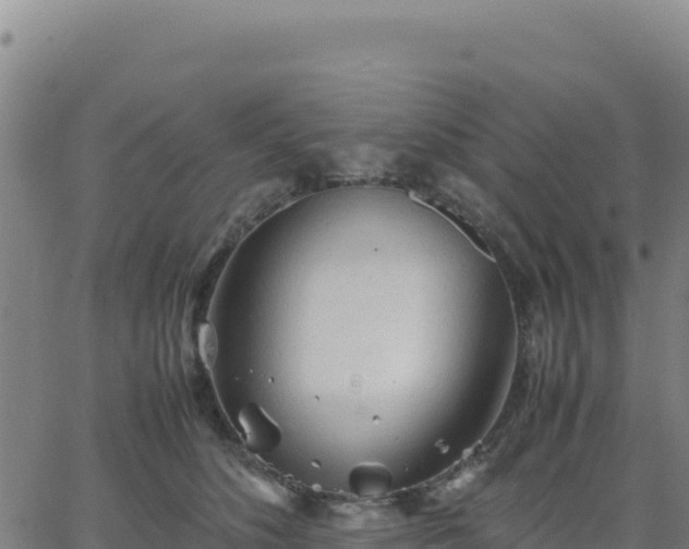 X0000063470516200601271633