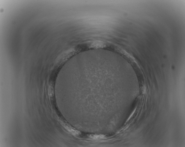 X0000063470517200601271633