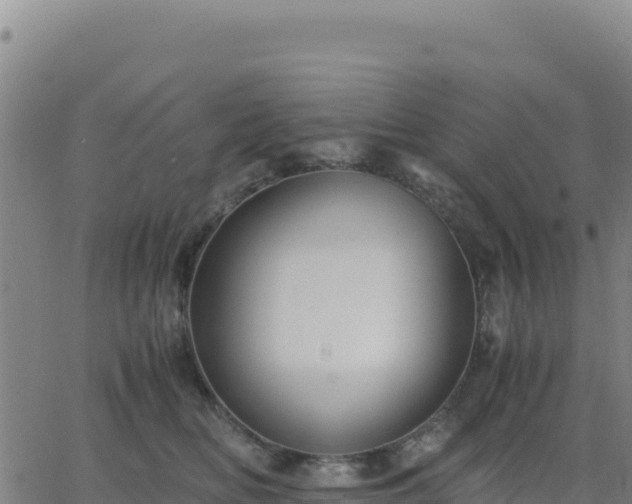 X0000063470518200601271633