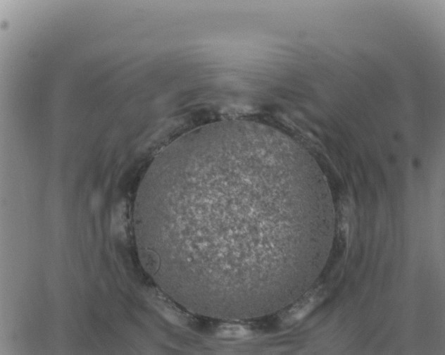 X0000063470519200601271633