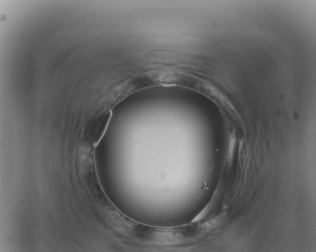 X0000063470521200601271633