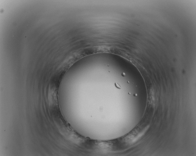 X0000063470522200601271633