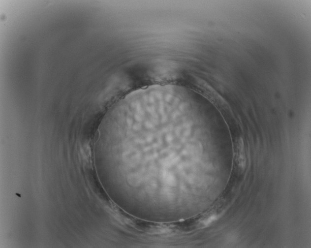 X0000063470523200601271633