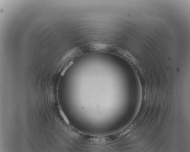 X0000063470524200601271633