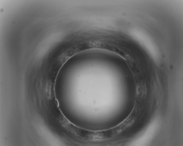 X0000063470525200601271633