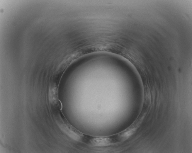 X0000063470526200601271633