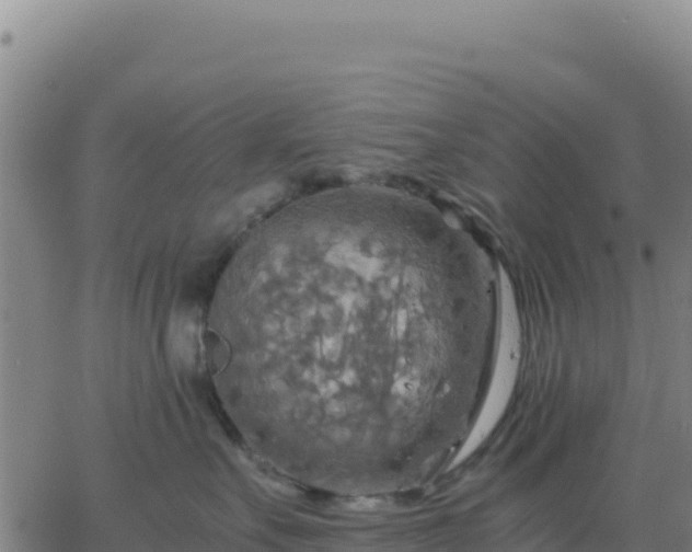 X0000063470527200601271633