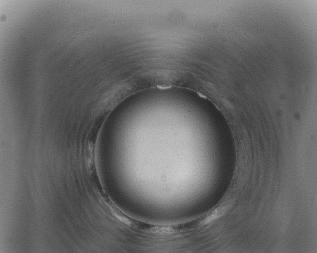 X0000063470528200601271632