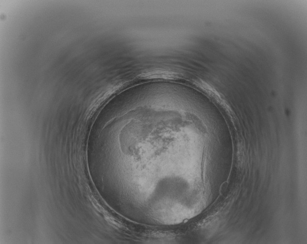 X0000063470529200601271632