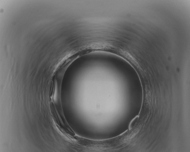 X0000063470530200601271632