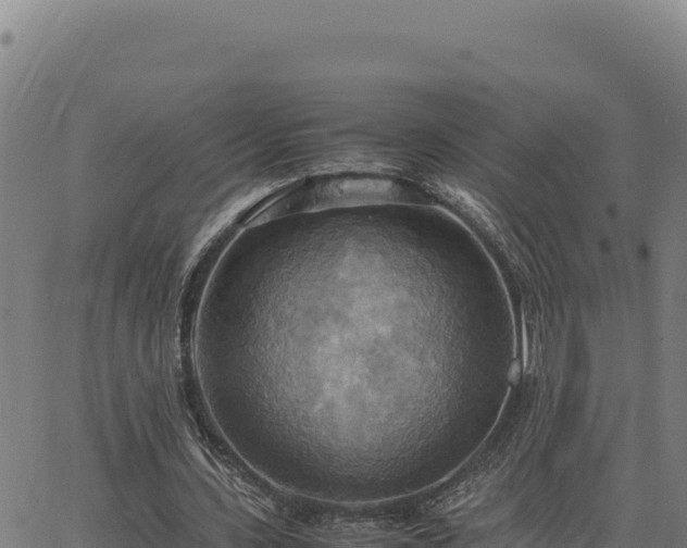 X0000063470531200601271632