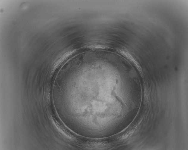 X0000063470533200601271632