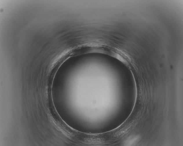 X0000063470535200601271632