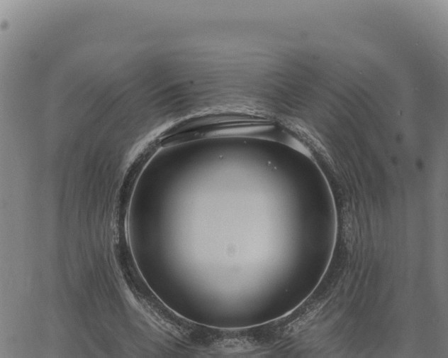 X0000063470536200601271632