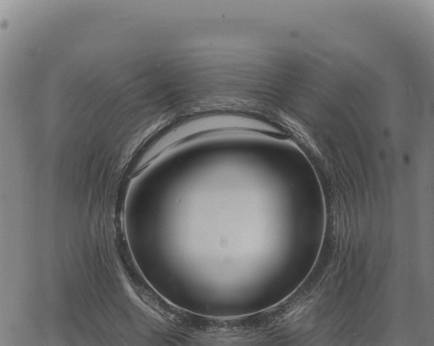 X0000063470538200601271632