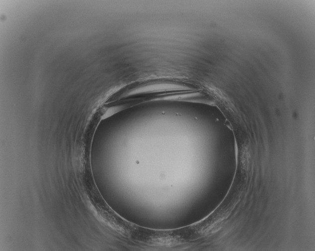 X0000063470540200601271632