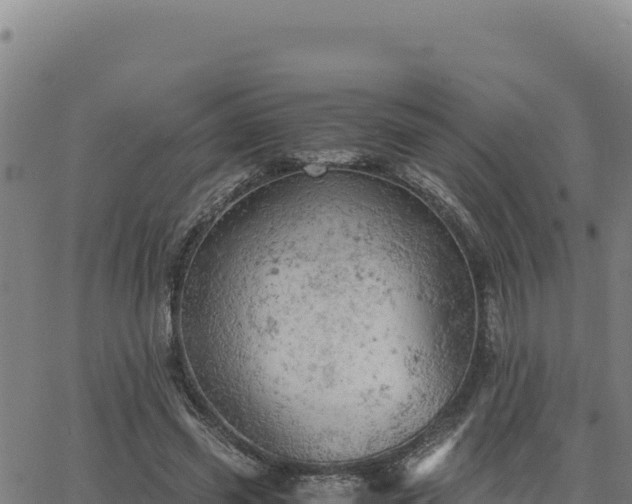 X0000063470541200601271632