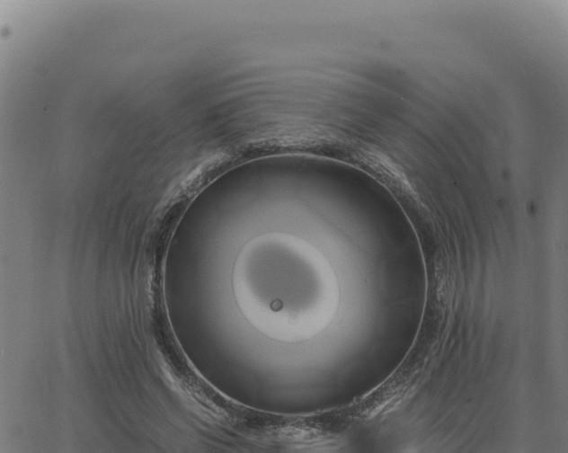 X0000063470542200601271632