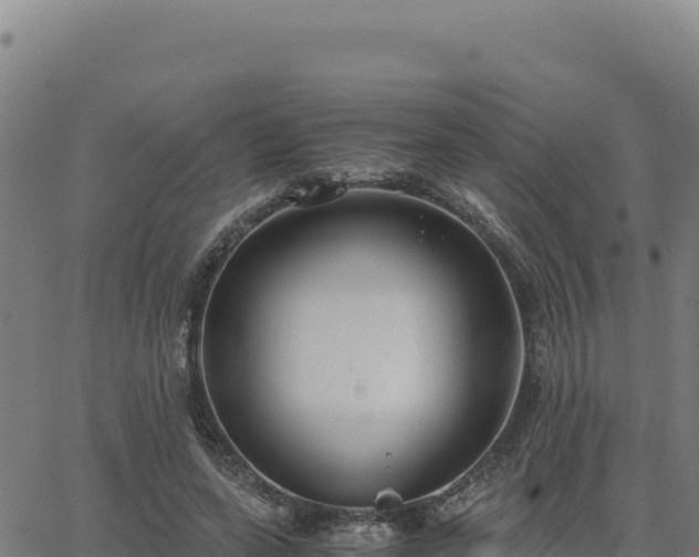 X0000063470543200601271632