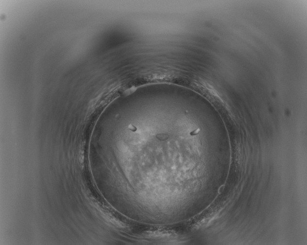 X0000063470545200601271632