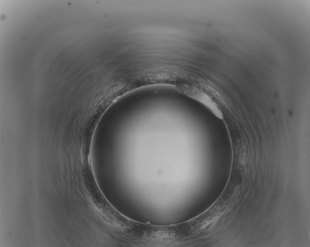 X0000063470546200601271632