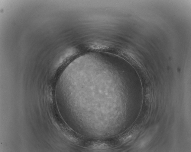 X0000063470547200601271632