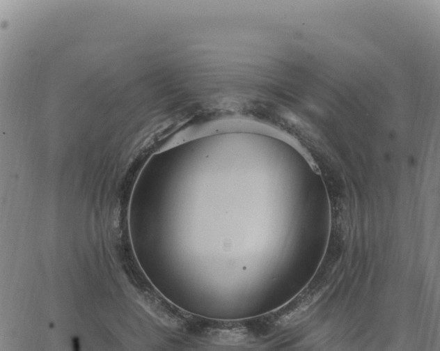 X0000063470548200601271632