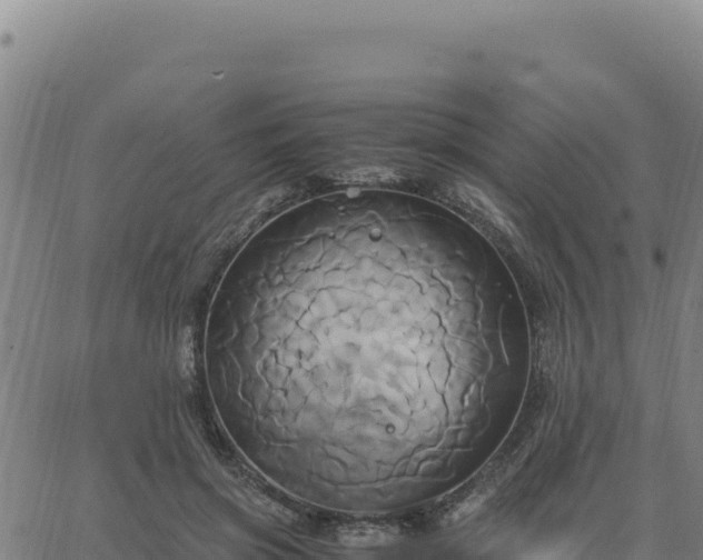 X0000063470549200601271632