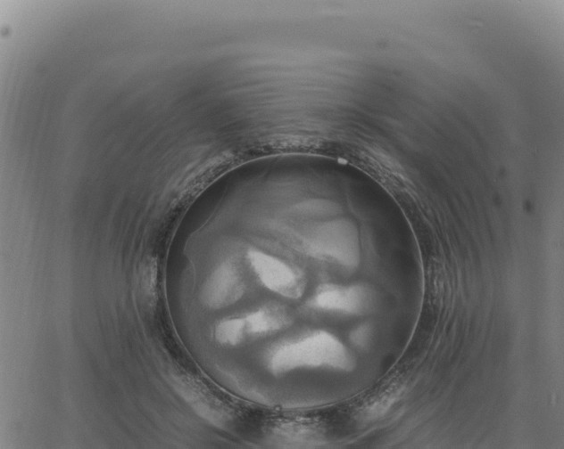 X0000063470550200601271632