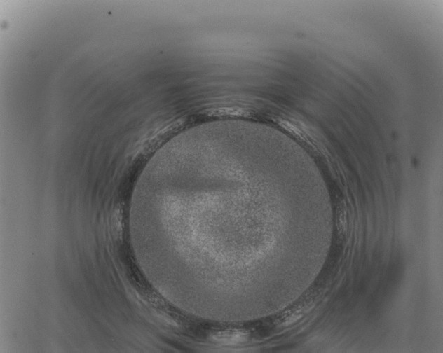 X0000063470551200601271632