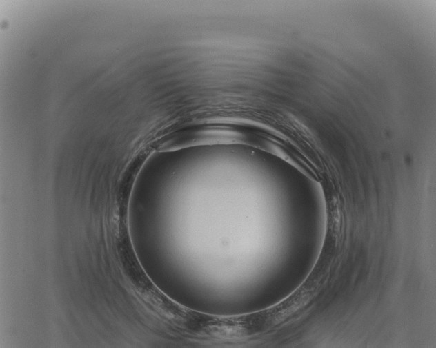 X0000063470552200601271632