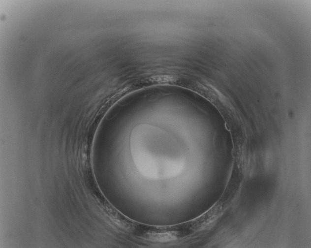 X0000063470553200601271632