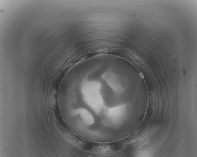 X0000063470554200601271632