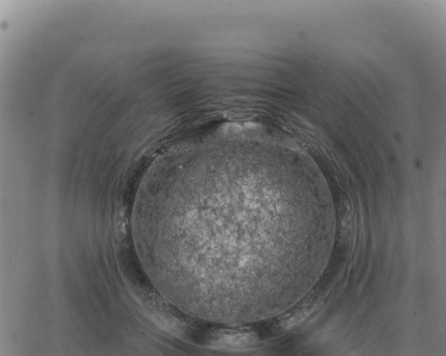 X0000063470555200601271632