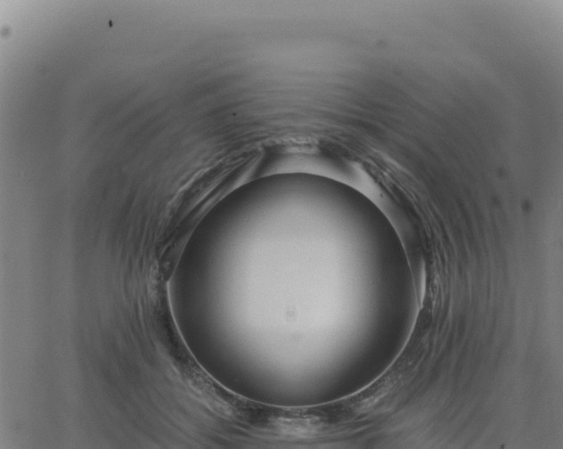 X0000063470556200601271632